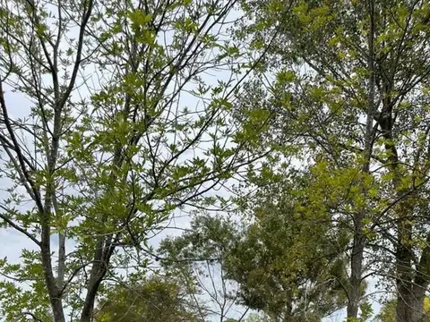 Terreno en Venta en Molino Blanco, Capilla del Señor