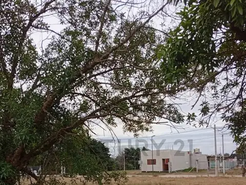 Terreno en Venta en Villa Parque Sicardi, Partido de La Plata