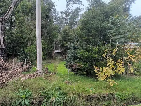 Terreno en Venta en Ignacio Correas Arana, Partido de La Plata