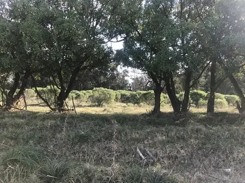 Terreno en Venta en Necochea, Partido de Necochea