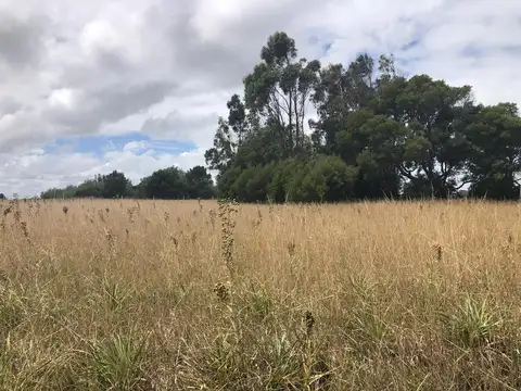 Terreno en Venta en San Eduardo, Barrio Chapadmalal