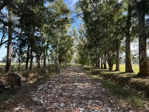 Terreno en Venta en Cañuelas, Partido de Cañuelas
