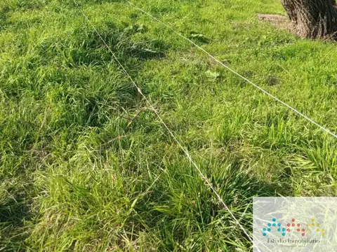 Terreno en Venta en San Vicente, Partido de San Vicente