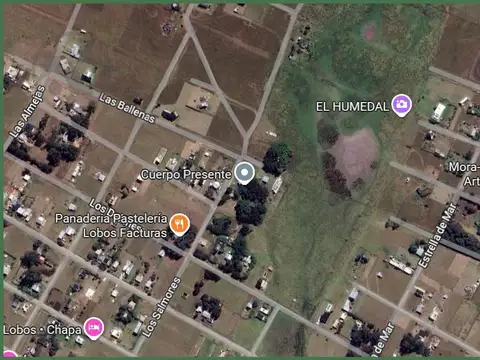 Terreno en Venta en Mar del Plata, Partido de General Pueyrredón