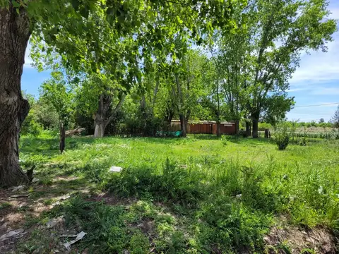 Terreno en Venta en Parada Robles, Partido de Exaltación de la Cruz