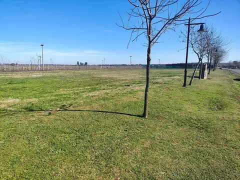 Terreno en Venta en La Plata, Partido de La Plata