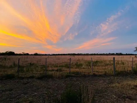 Terreno en Venta en Carmen de Areco, Partido de Carmen de Areco