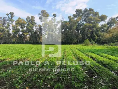 Terreno en Venta en Cuartel V, Partido de Moreno