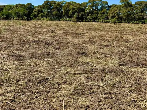 Terreno en Venta en Longchamps, Partido de Almirante Brown