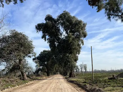 Terreno en Venta en General Rodriguez, Partido de General Rodríguez