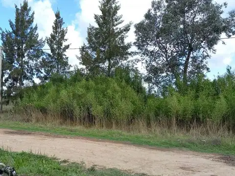 Terreno en Venta en Coronel Brandsen, Partido de Brandsen