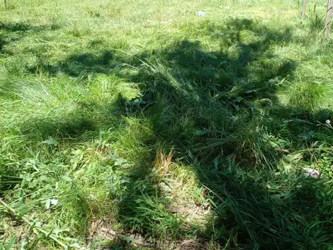 Terreno en Venta en Francisco Alvarez, Partido de Moreno