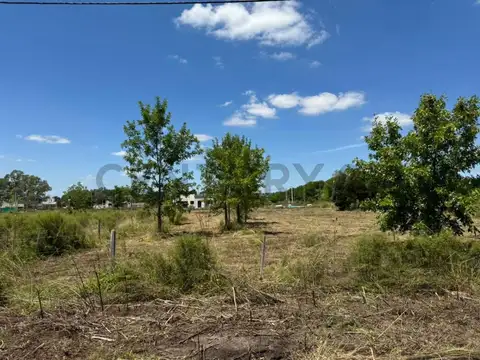 Terreno en Venta en Ignacio Correas Arana, Partido de La Plata