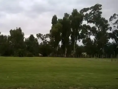 Terreno en Venta en Copetonas, Partido de Tres Arroyos