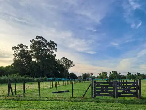 Terreno en Venta en Pontevedra, Partido de Merlo