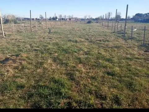 Terreno en Venta en La Recoleta, Virrey del Pino