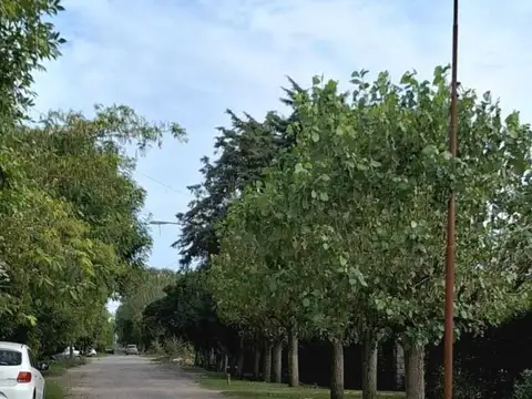 Terreno en Venta en Ignacio Correas Arana, Partido de La Plata