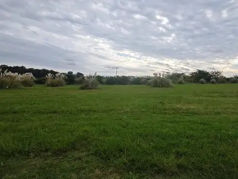 Terreno en Venta en Los Juncos, Countries y Barrios Cerrados en Lujan
