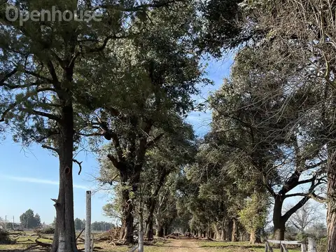 Terreno en Venta en General Rodriguez, Partido de General Rodríguez