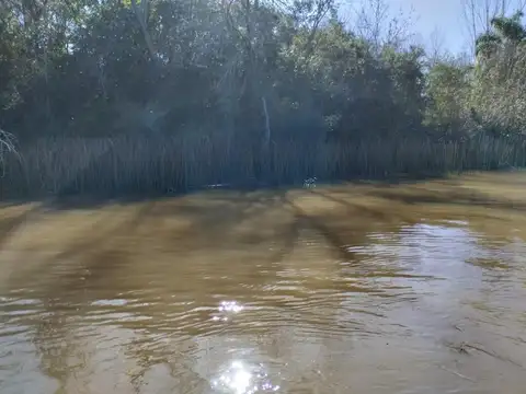 Terreno en Venta en Zona Delta San Fernando, Partido de San Fernando