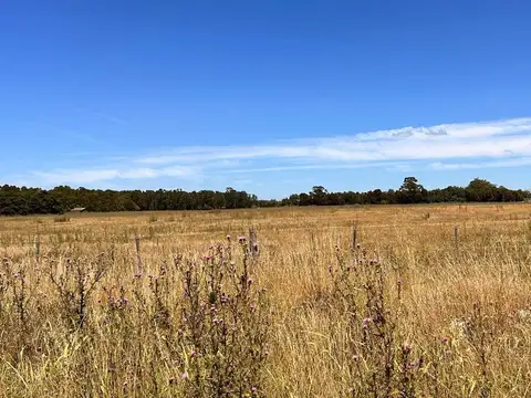 Terreno en Venta en Camet, Mar del Plata