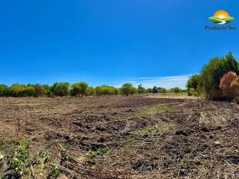 Terreno en Venta en Longchamps, Partido de Almirante Brown