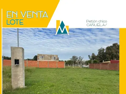 Terreno en Venta en Alejandro Petion, Partido de Cañuelas