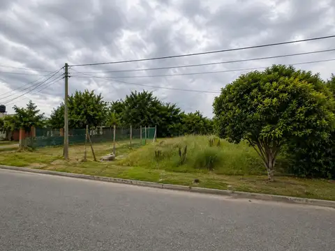 Terreno en Venta en Benavidez, Partido de Tigre