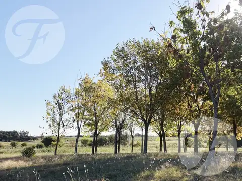 Terreno en Venta en San Pedro, Partido de San Pedro