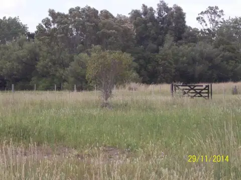 Terreno en Venta en Reta, Partido de Tres Arroyos