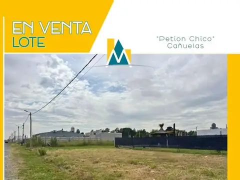 Terreno en Venta en Alejandro Petion, Partido de Cañuelas