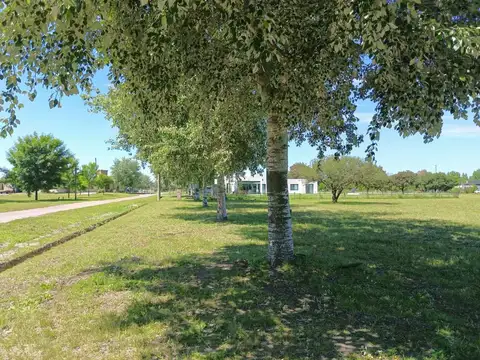 Terreno en Venta en Fincas de San Vicente, Canning