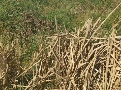 Terreno en Venta en San Vicente, Partido de San Vicente