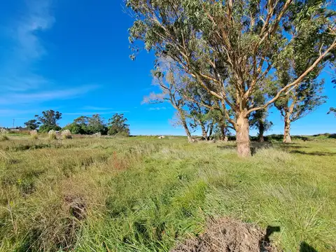 Terreno en Venta en Los Acantilados, Mar del Plata