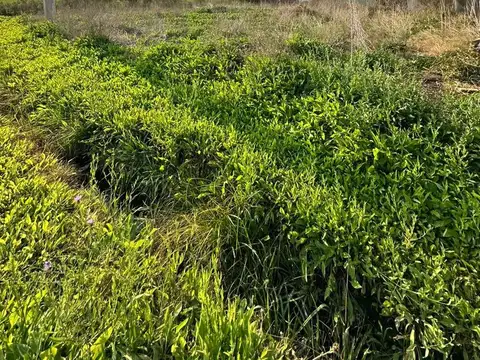 Terreno en Venta en La Plata, Partido de La Plata