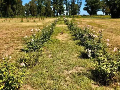 Terreno en Venta en General Rodriguez, Partido de General Rodríguez