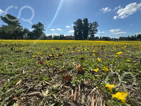 Terreno en Venta en Fincas de San Vicente, Canning