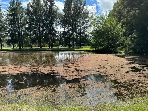 Terreno en Venta en Haras Del Sur 2, Countries y Barrios Cerrados en la Plata