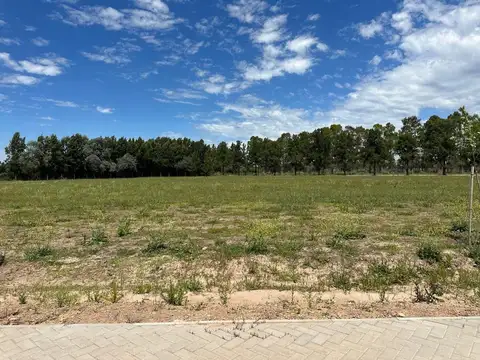 Terreno en Venta en Alto Los Cardales, Campana