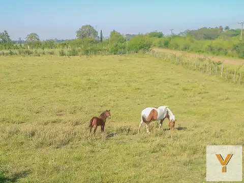 Terreno en Venta en Gouin, Partido de Carmen de Areco