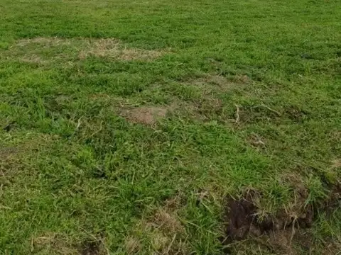 Terreno en Venta en Arturo Segui, Partido de La Plata