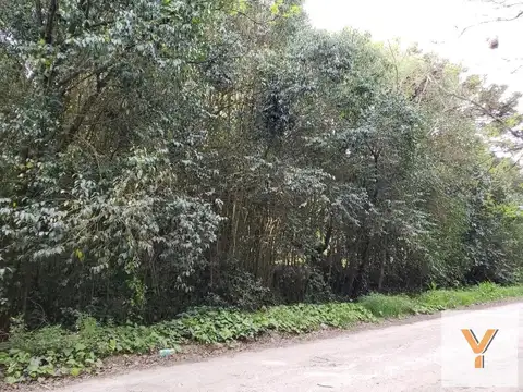 Terreno en Venta en Punta Indio, Partido de Punta Indio