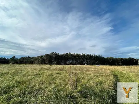 Terreno en Venta en Estancia Benquerencia Farm Club, Countries y Barrios Cerrados en San Miguel del Monte