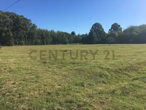 Terreno en Venta en Magdalena, Partido de Magdalena