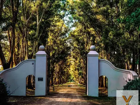 Terreno en Venta en Villa Ruiz, Partido de San Andrés de Giles
