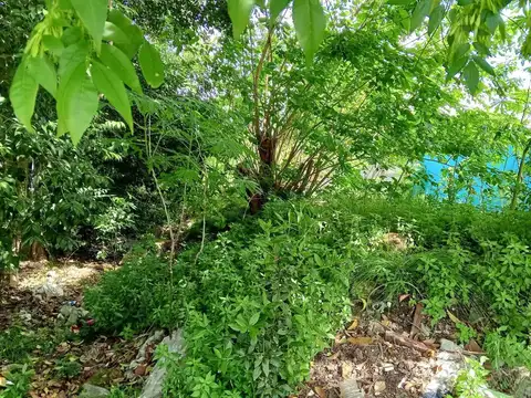 Terreno en Venta en La Plata, Partido de La Plata