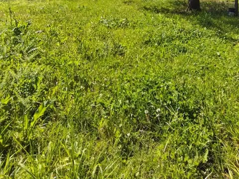 Terreno en Venta en 25 de Mayo, Partido de 25 de Mayo