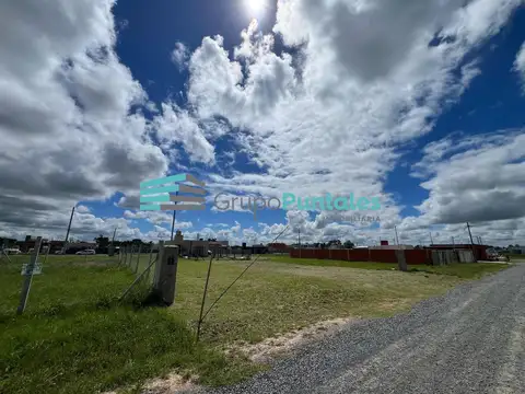 Terreno en Venta en Alejandro Petion, Partido de Cañuelas