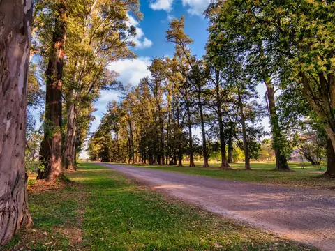 Terreno en Venta en Los Tres Pinos, Countries y Barrios Cerrados en General Rodriguez