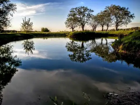 Terreno en Venta en La Reserva Cardales, Countries y Barrios Cerrados en Campana
